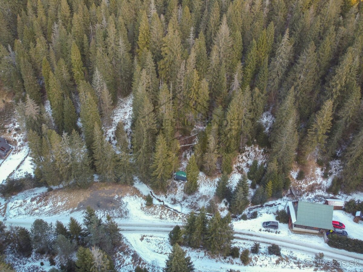 Pozemok na chatu s lesom – Brezovica, Orava