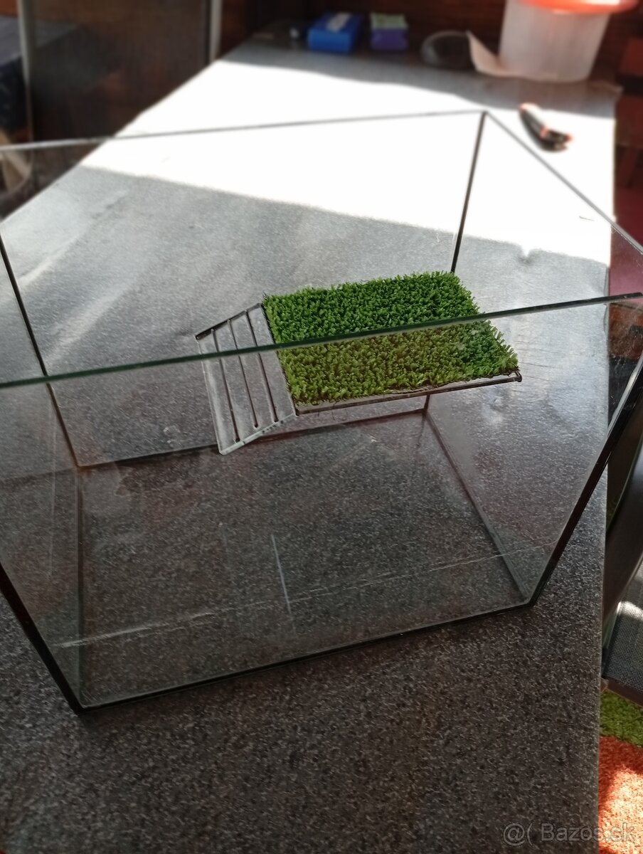 Akvarium