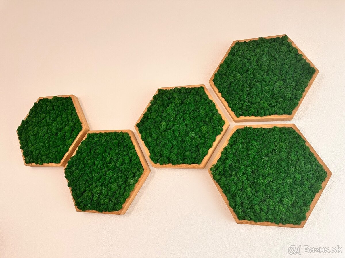 Machové obrazy- priemer 30cm