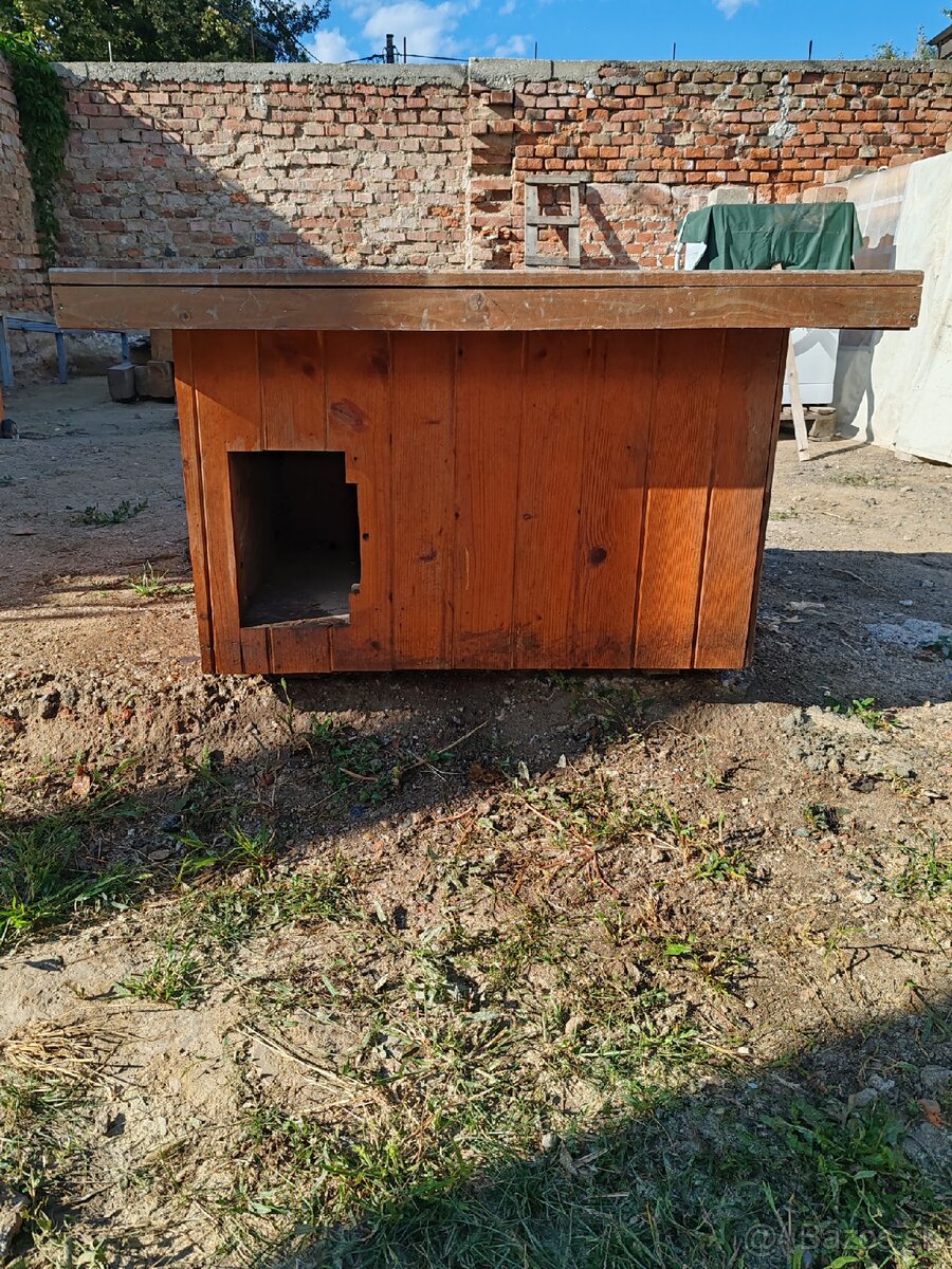 Búda pre psa, mačku