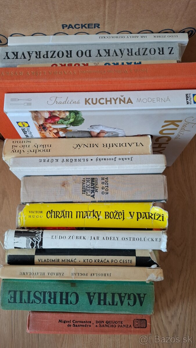 Svetova a domaca beletria