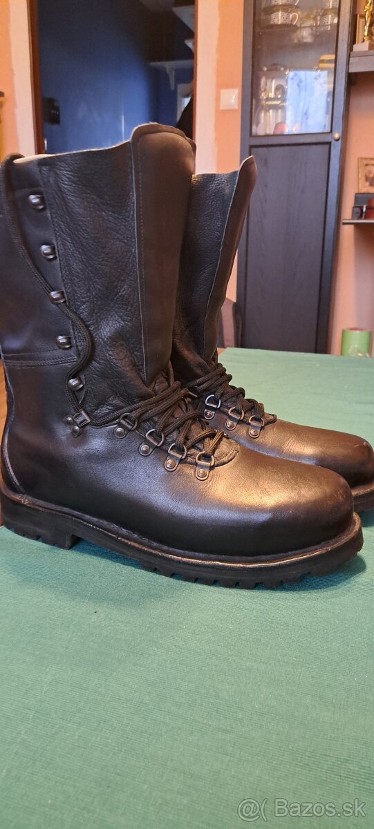 RAKUSKE VOJENSKE KANADY 46