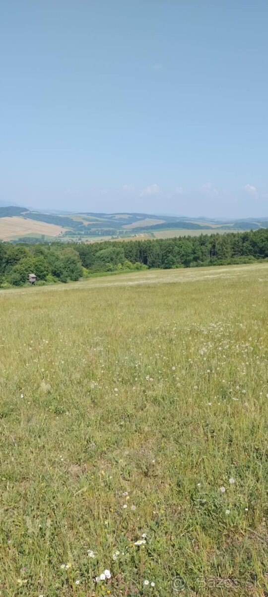 Predam pozemok vo Vranove nad Toplou