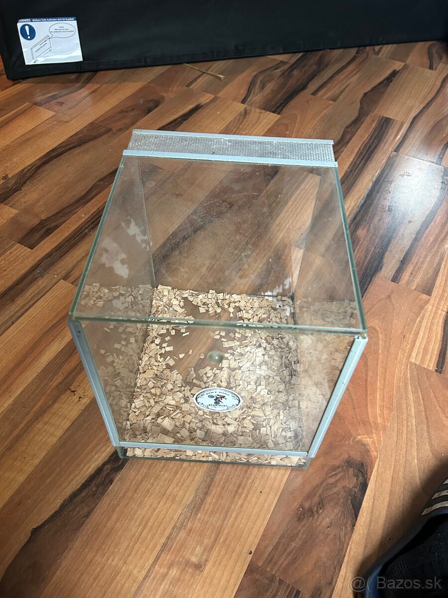 Predam terarium
