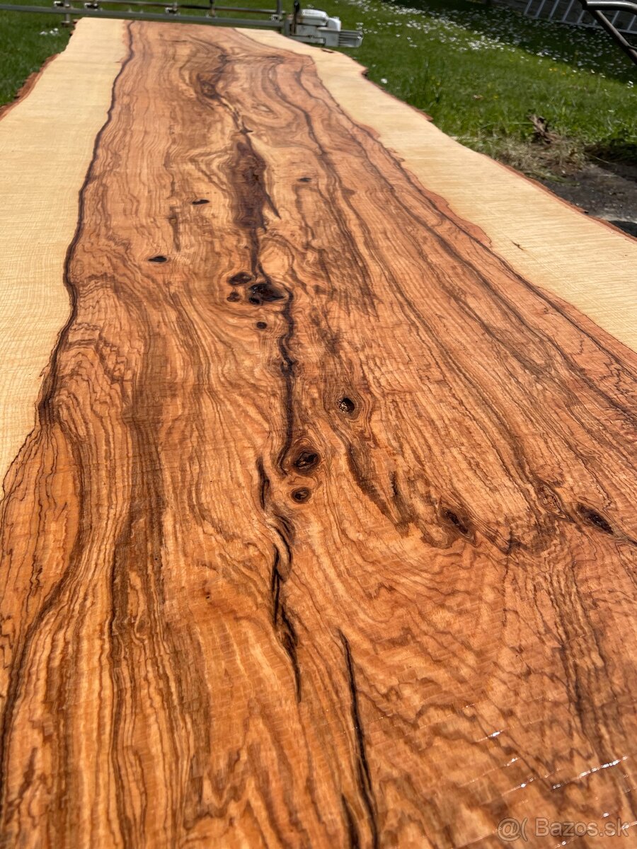 JASEŇOVÉ REZIVO OLIVE ASH / Očkové drevo / Live edge