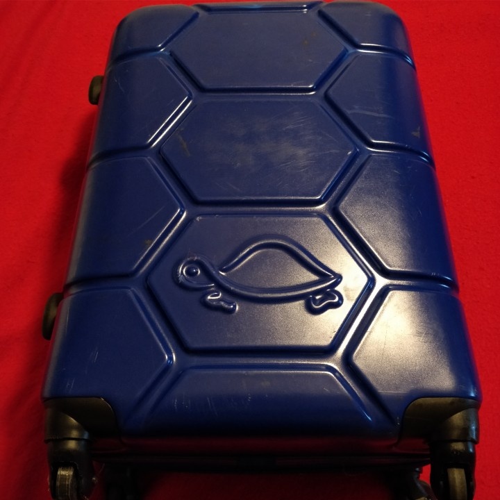 Koliecka na kufor Caprisa turtle