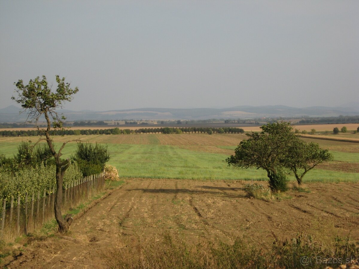 Záhrada Veľké Ludince