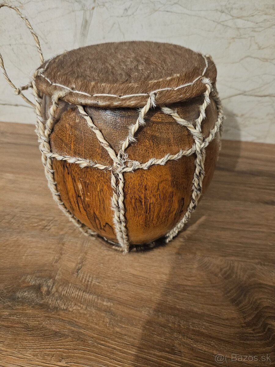 Africký bubon nový