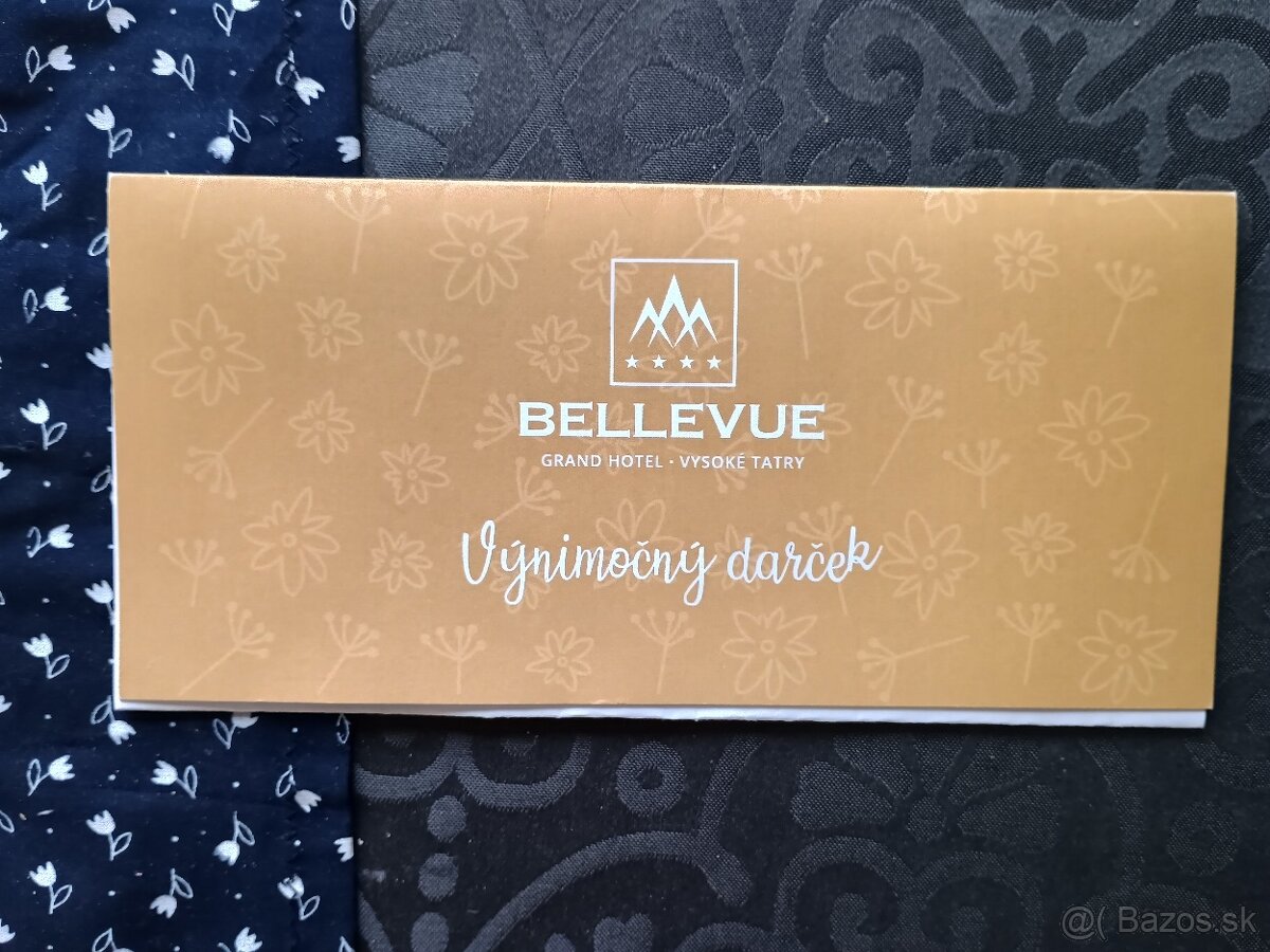 Vstup do wellness Grandhotel Bellevue