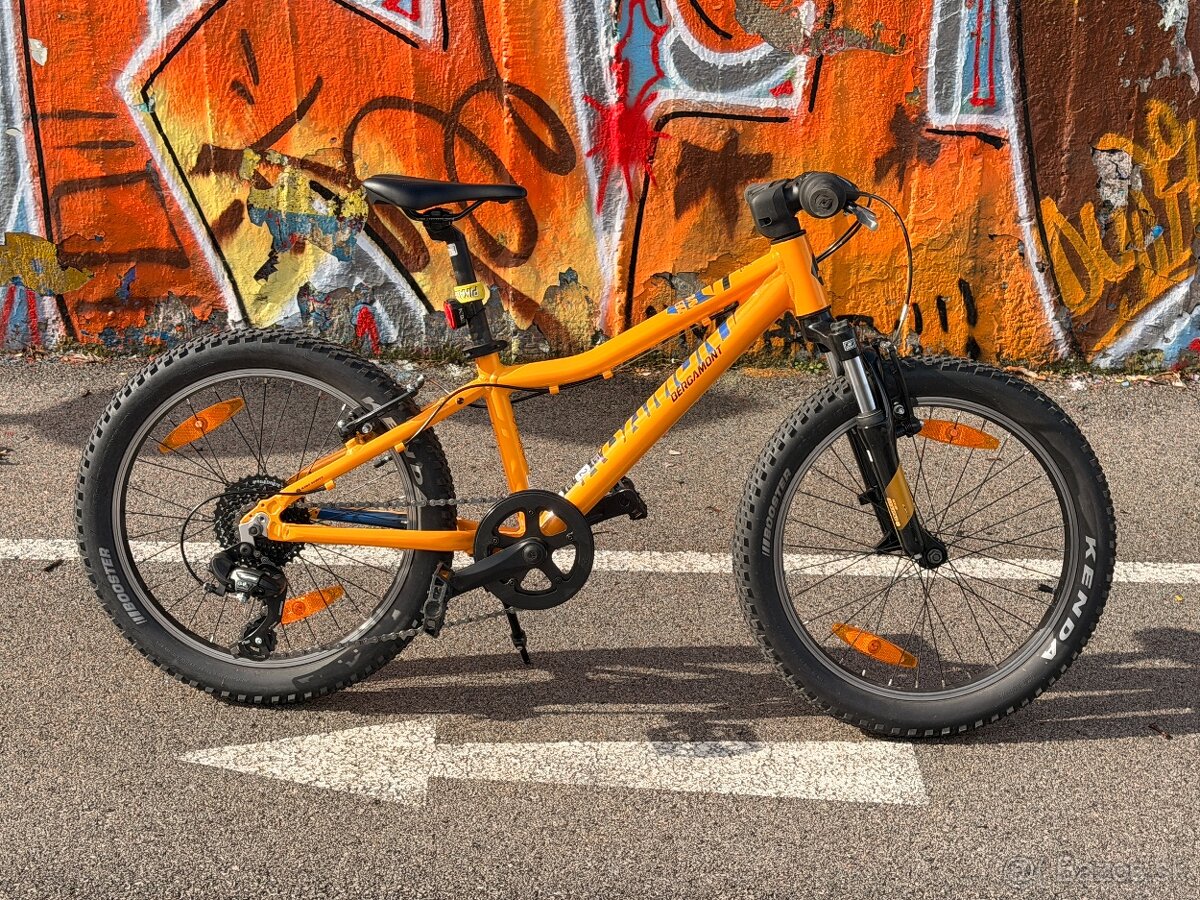 Detský bicykel Bergamont 20”