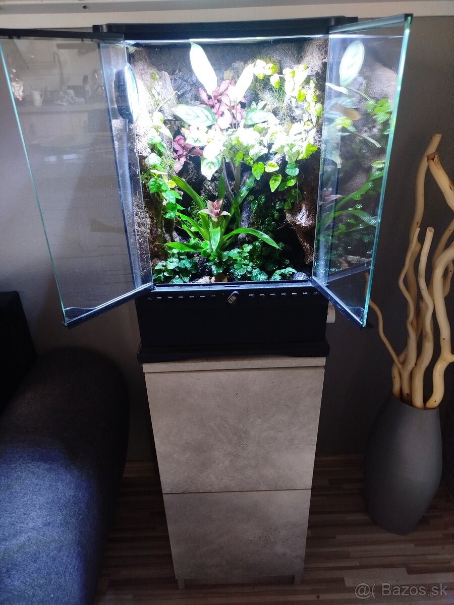 Terarium Exo Tetra
