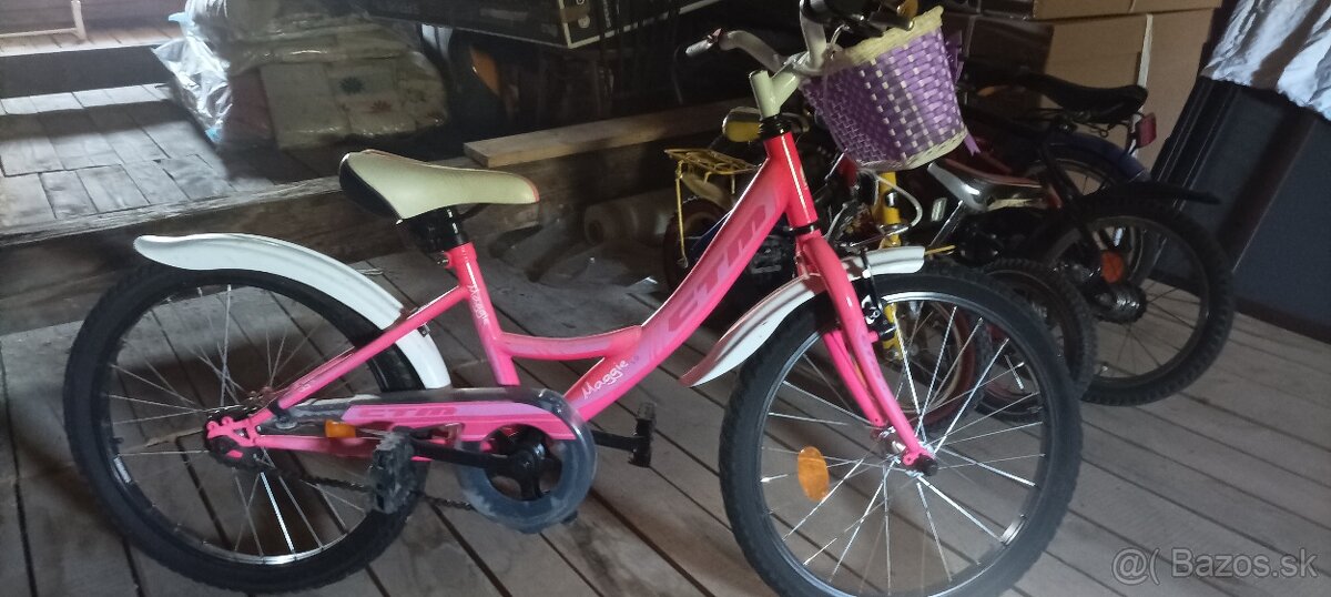 CTM Meggie 1.0