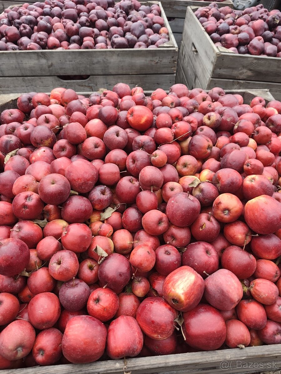 Jablka na kvas 0.30€/kg