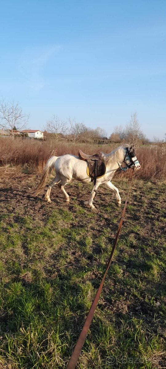 Kone