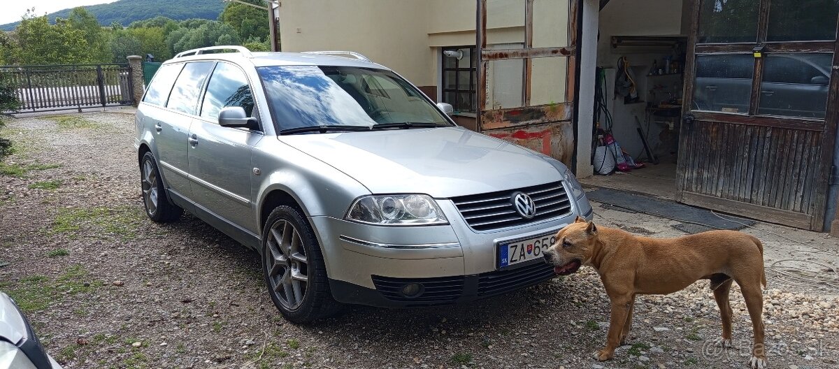 Passat B5.5