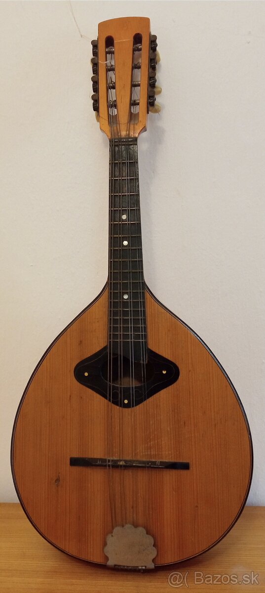 Mandolína