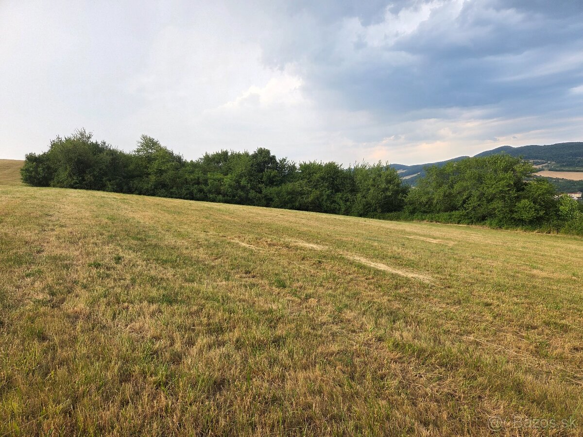 Predam pozemok Moravske Lieskove 5600m2
