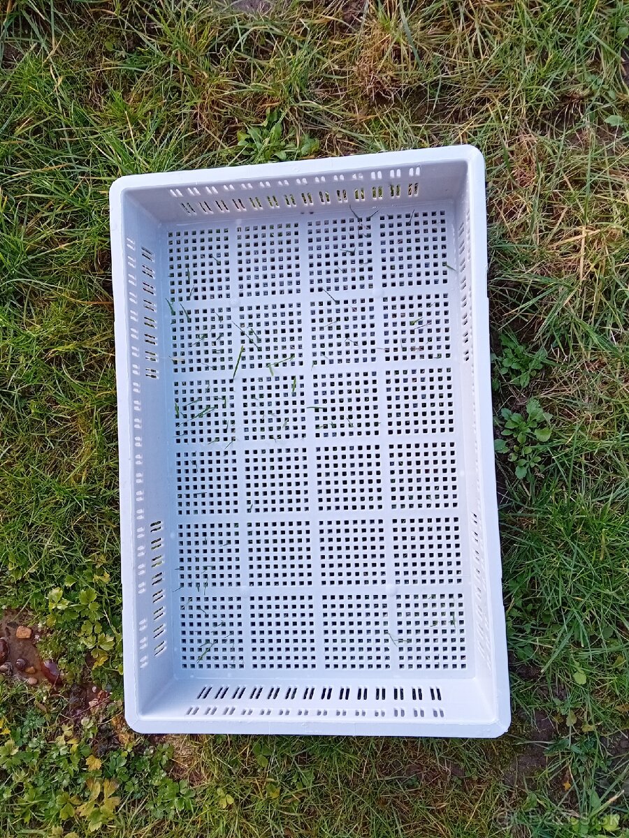 Plastové bednicky 60x40x10cm