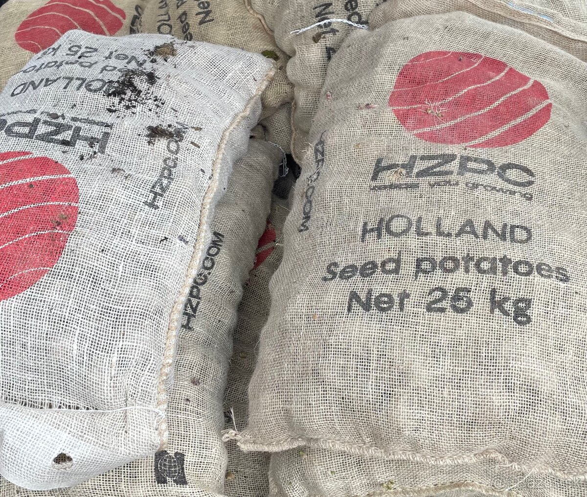 Predám holandské sadzbové zemiaky za zvýhodnenú cenu