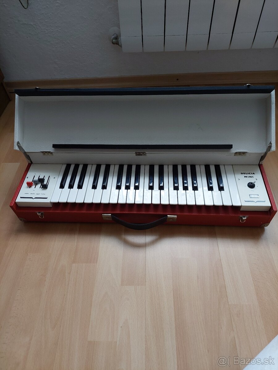Delicia Mini 807