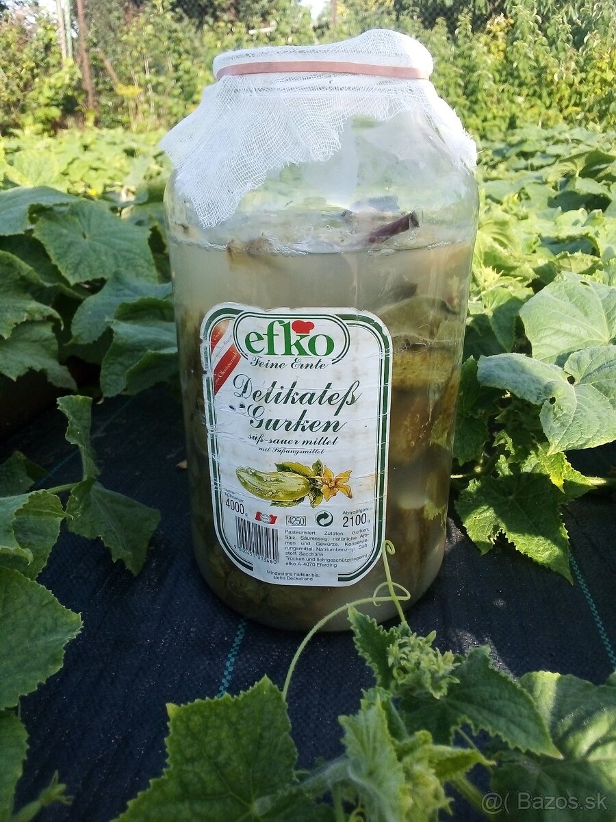 KVASAKY