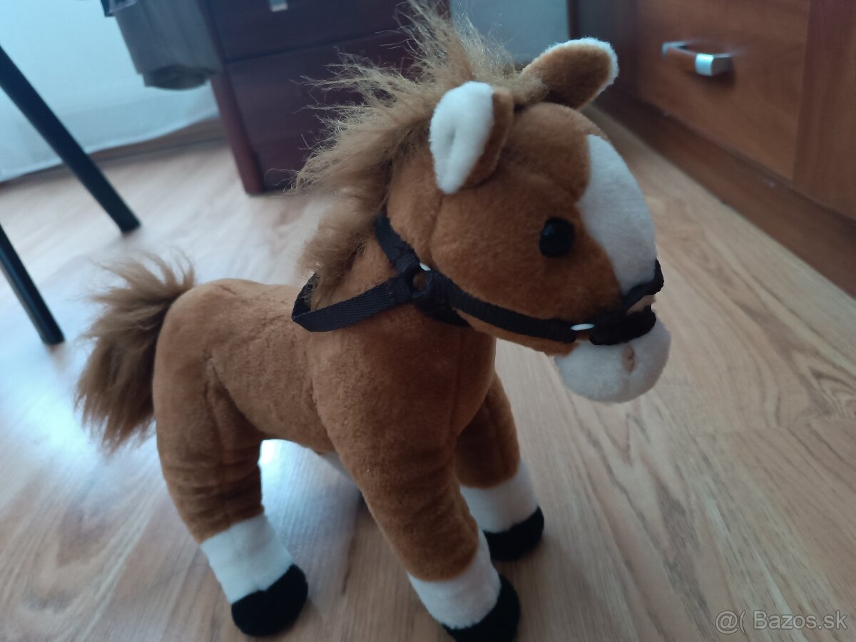 Koník