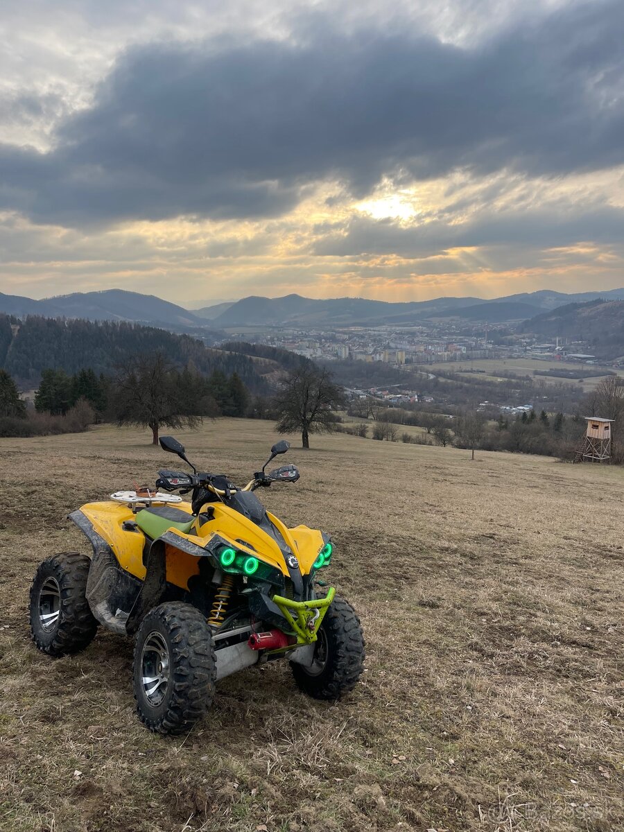 Can am renegade 800