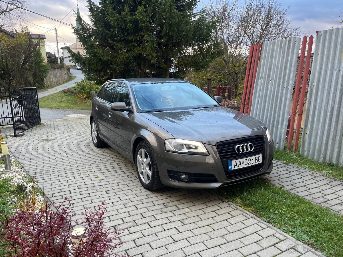 Audi A3 8P 1.6 TDI