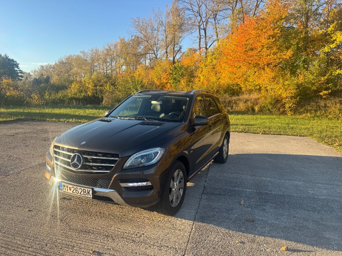 ML250CDi W166 4matic