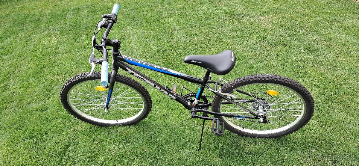 Teranna Junior 24