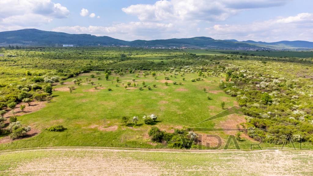 Pozemok v Modre s výmerou až 5.666 m2