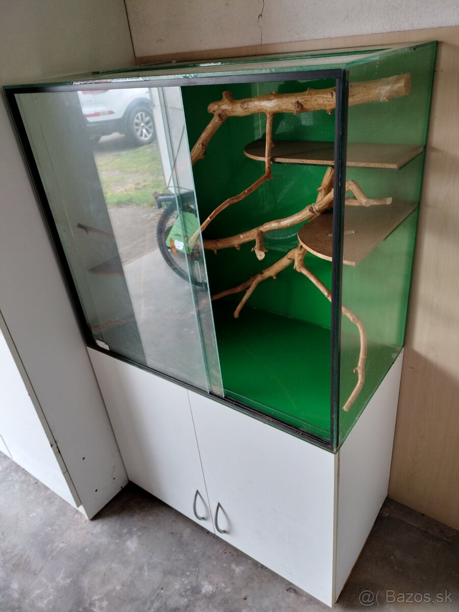 Terarium