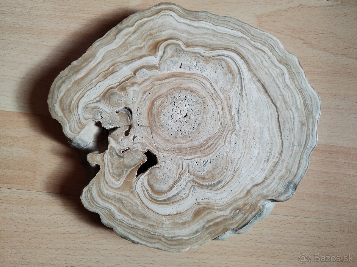 Predám rez z kvapľa