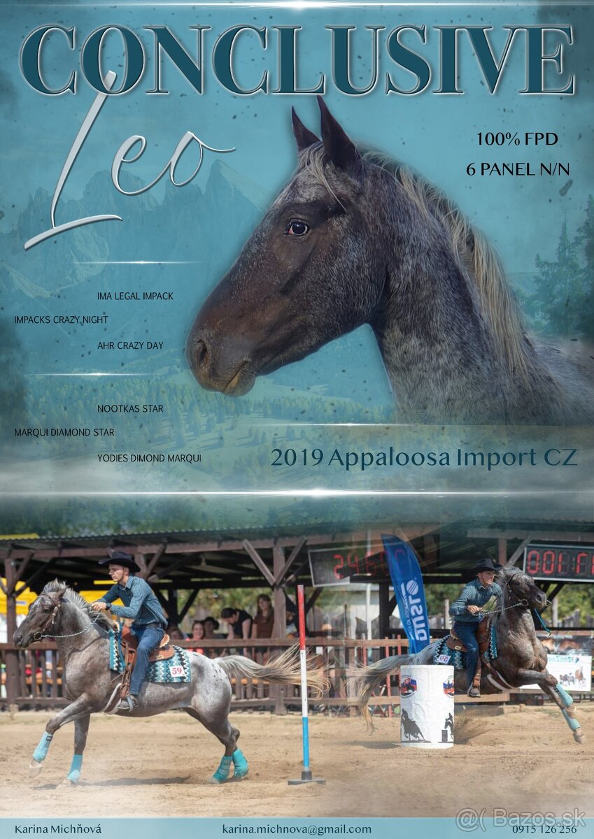 Appaloosa pripúšťanie