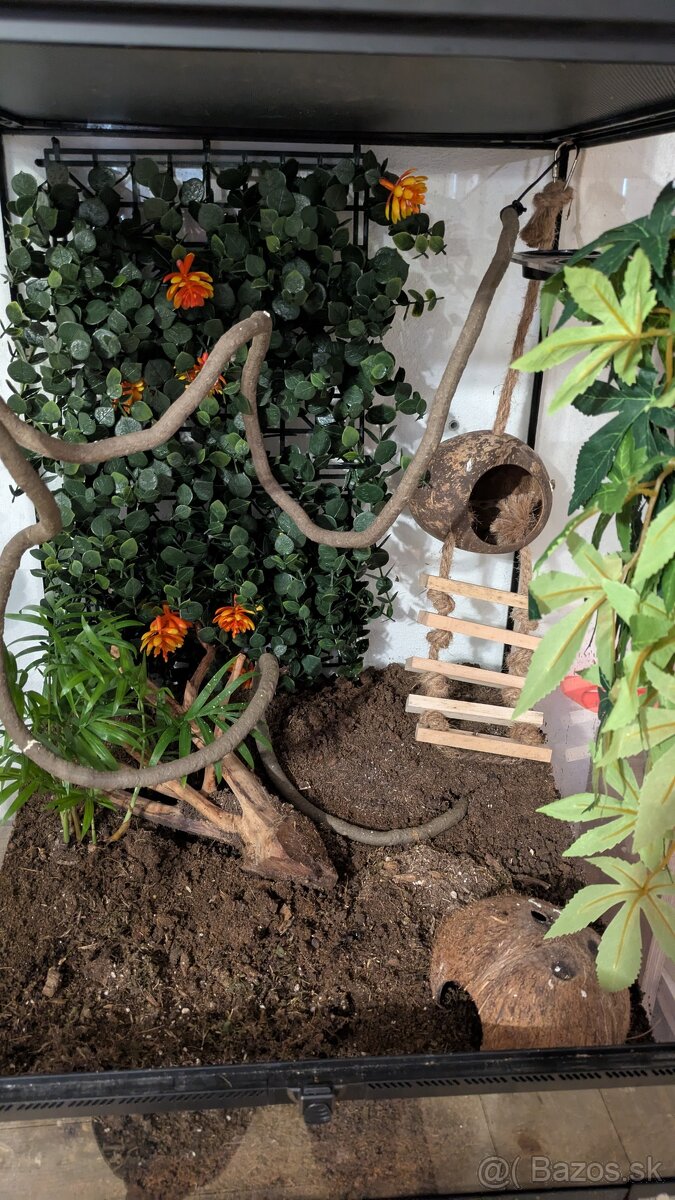 Terarium 45x45x60cm