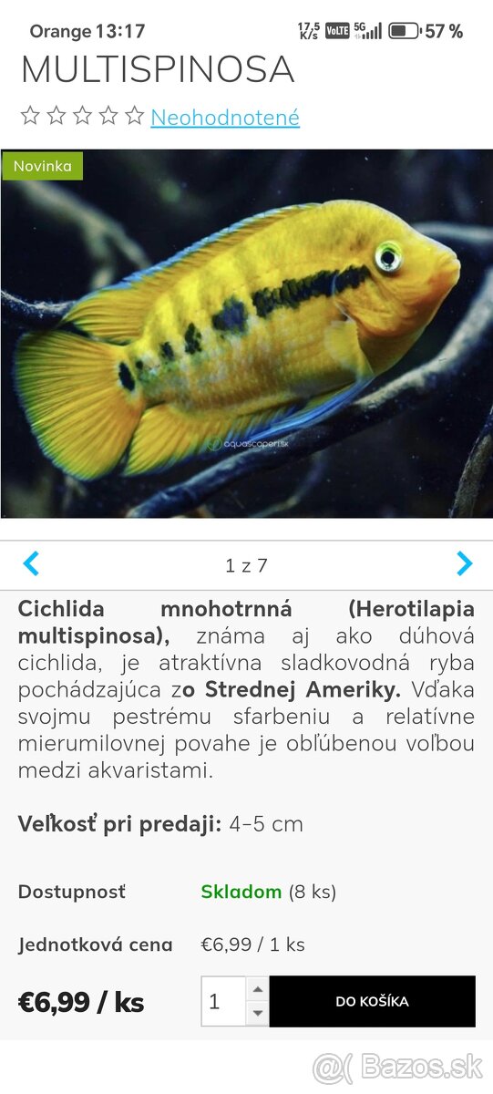 Cichlida mnohotrna
