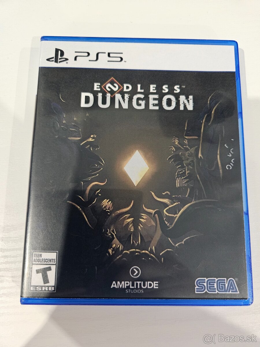Endless Dungeon PS5