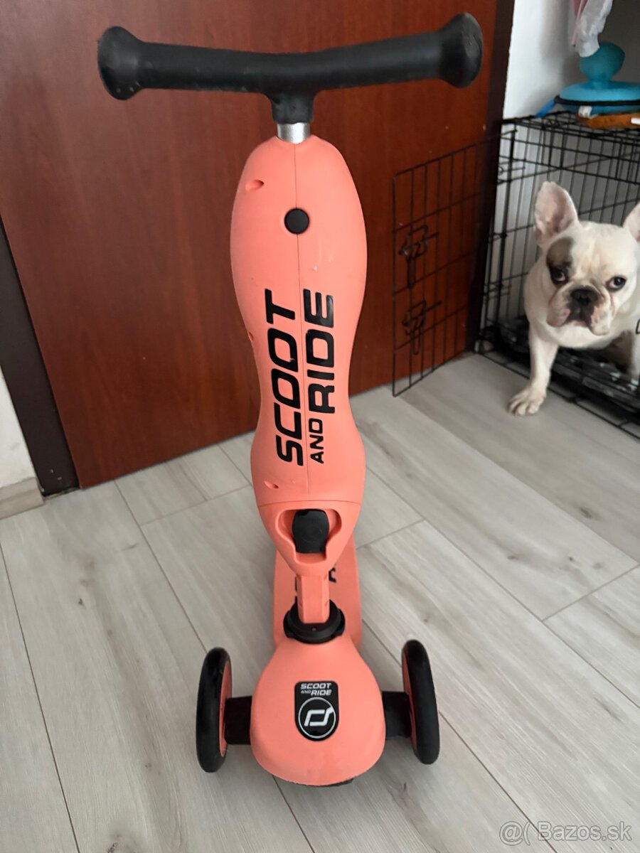 Scoot ride 2v1