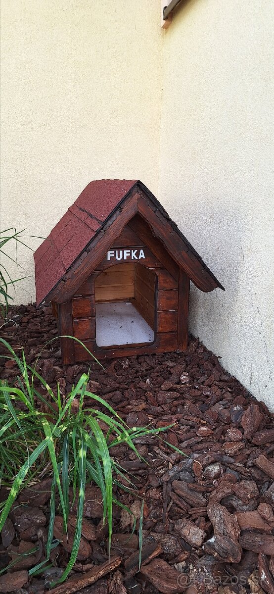 Psia búda