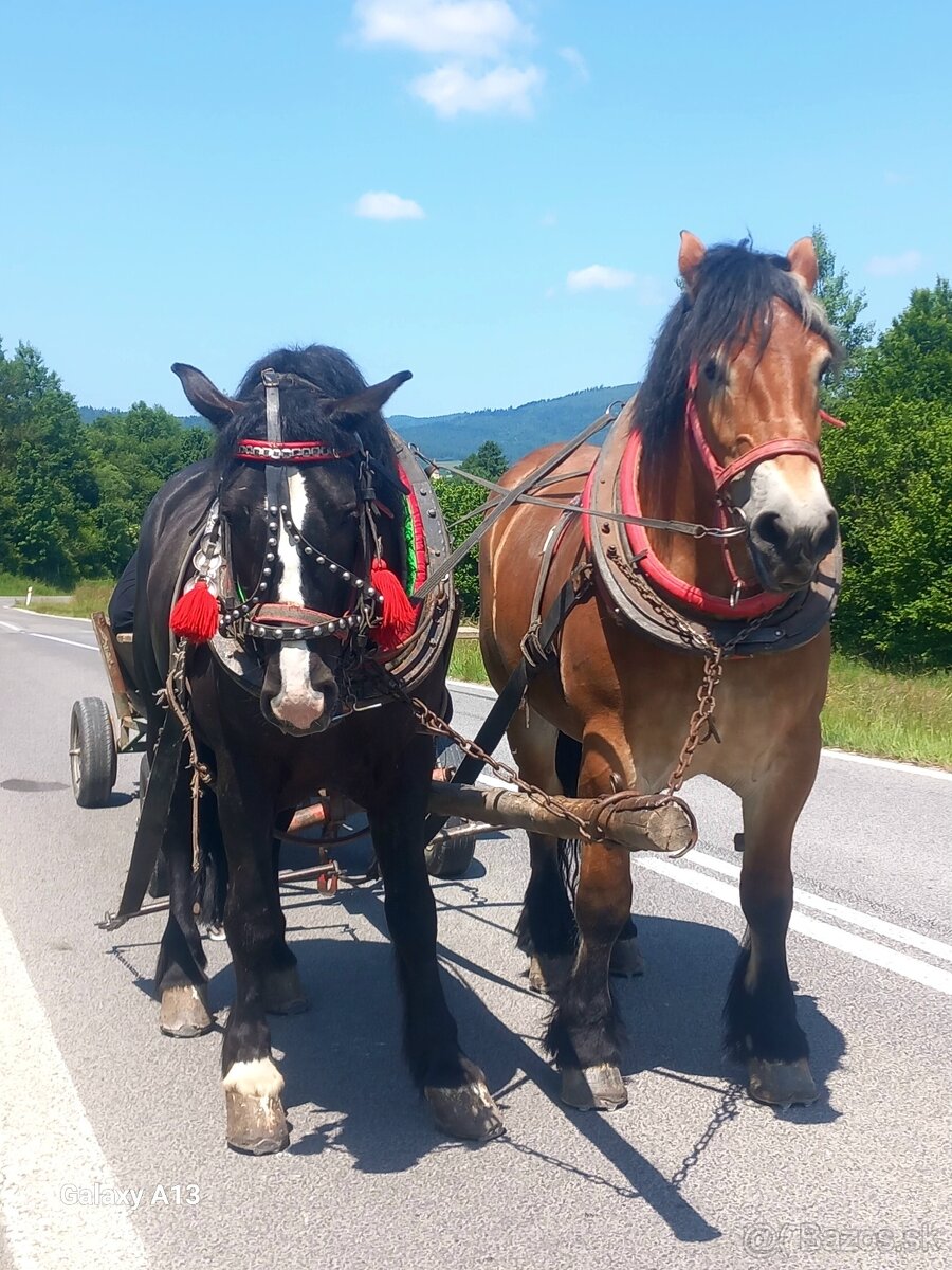 Dovoz viem zabespečiť