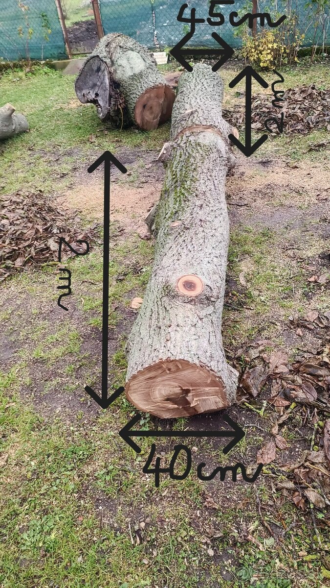 Orechové drevo - kmene na fošne, na nábytok