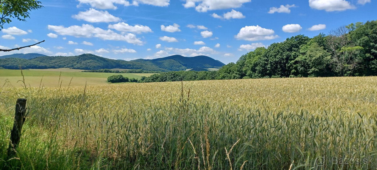 Na predaj orná pôda v obci Podkylava, časť Jancovo.(Myjava)