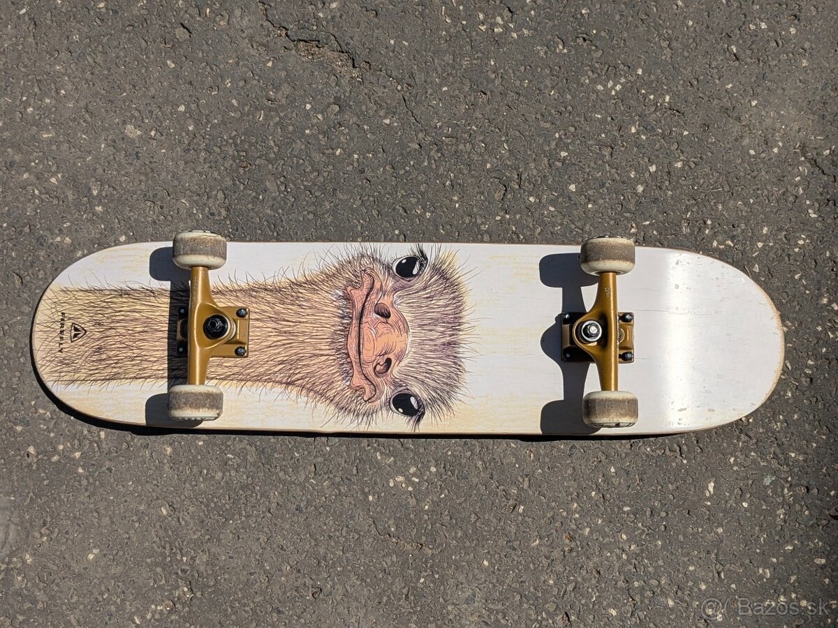 Skateboard Firefly