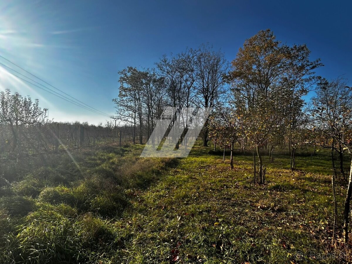 Na predaj: pozemok s vinohradníckym domčekom
