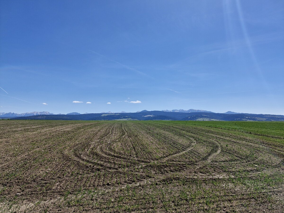 Pozemok orná pôda 2583m2 Trstena