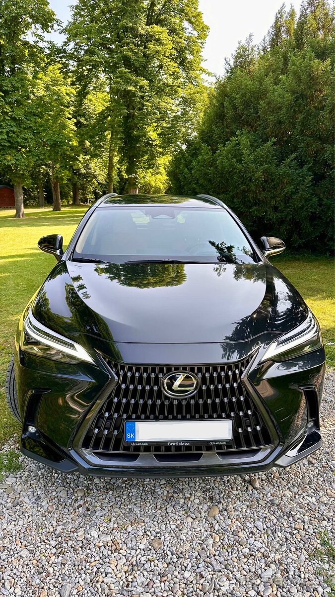 Lexus NX 2.5 Hybrid Executive Top (ML)