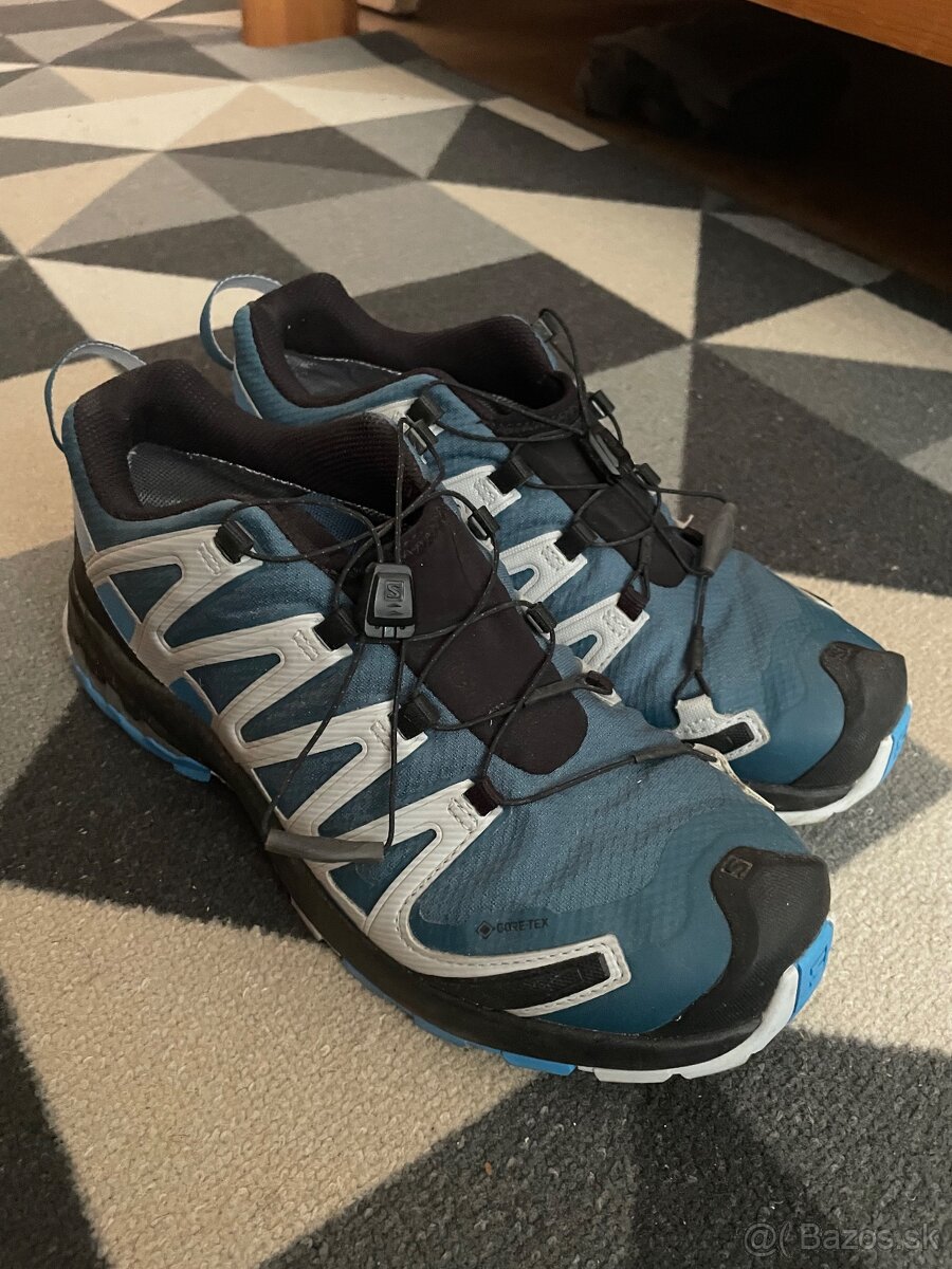 Salomon xa pro 3D