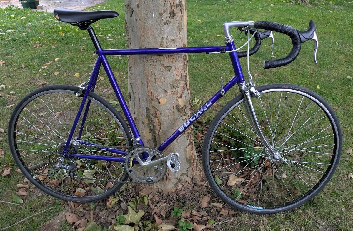 Buchel Shimano Exage 300
