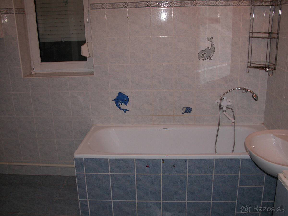 Dam do dlhodobeho prenajmu slnecny 3-izbovy byt v Skalici