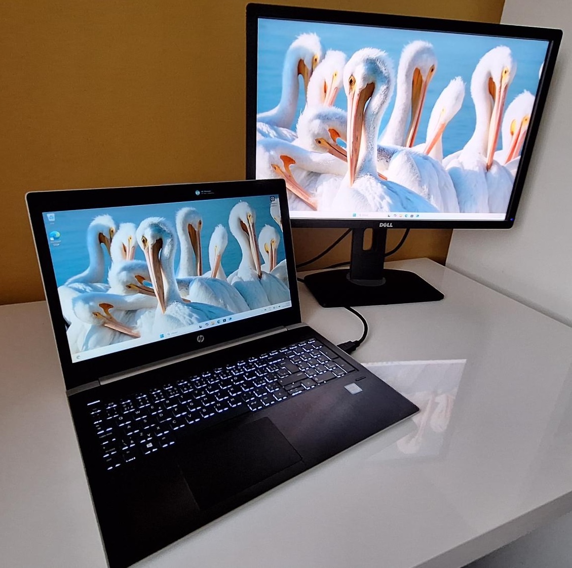 HP Probook 450 G5 + 24 palcovy monitor
